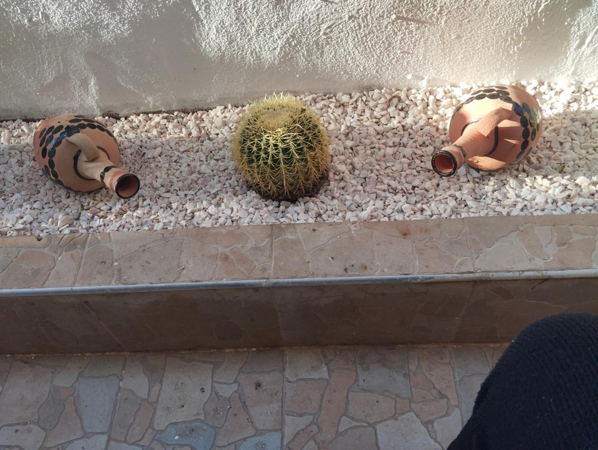 Rico,s House أغادير